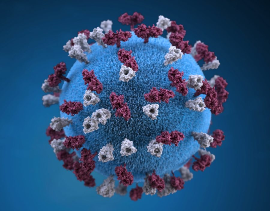Treat Autoimmune Disease